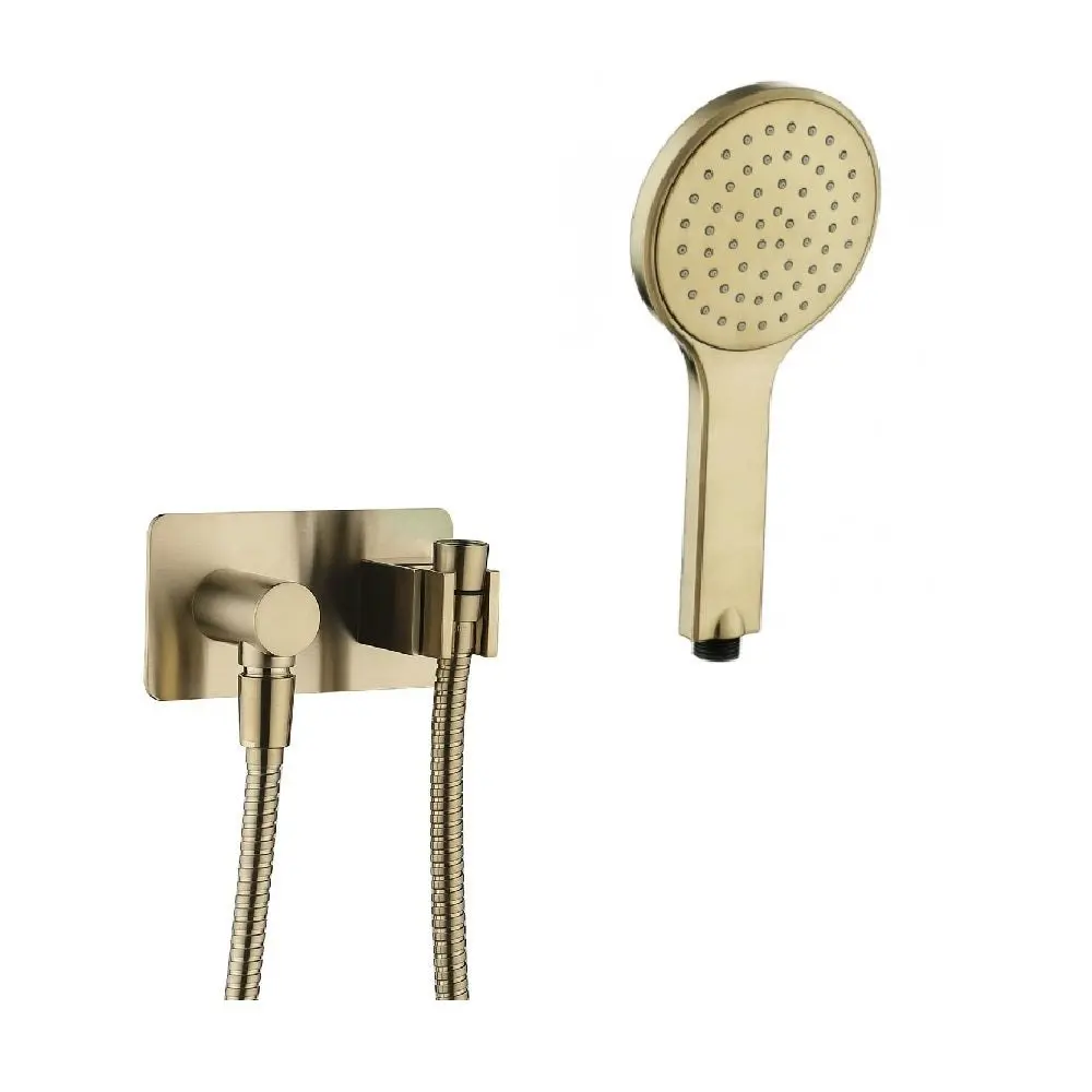 Fienza Kaya Bracket, Hose & Hand Piece Urban Brass 433100UB+MSH115UB