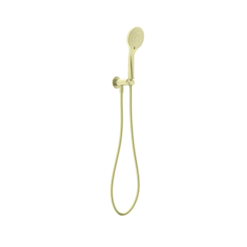 Nero Mecca Hand Hold Shower With Air Shower Brushed Gold NR221905BG