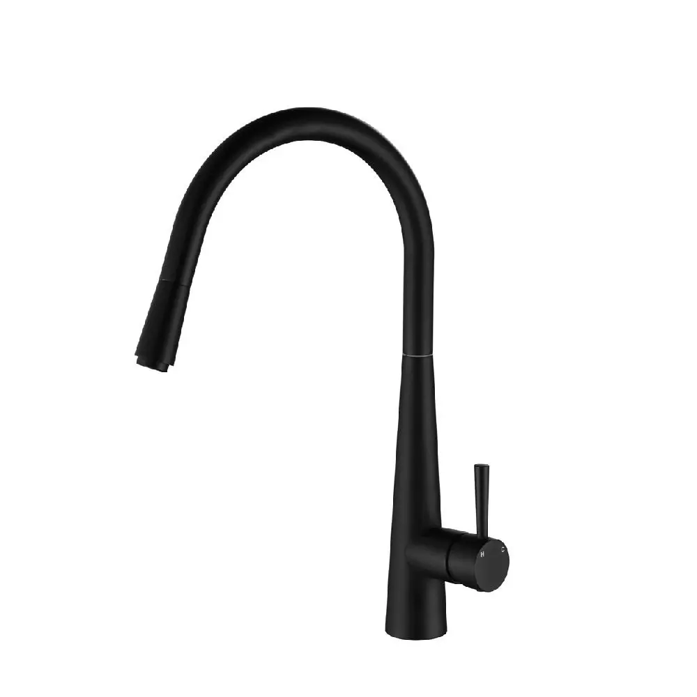 Fienza Hustle Deluxe Gooseneck Kitchen Mixer Matte Black 213116MB