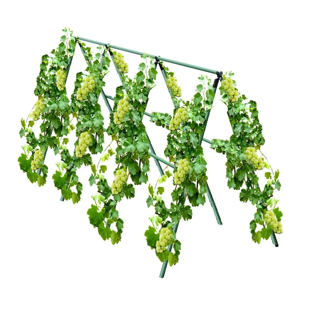 Soga 90cm Plant Frame Tube Trellis Vegetable Flower Herbs Outdoor Vine Support Adjustable Garden Rack