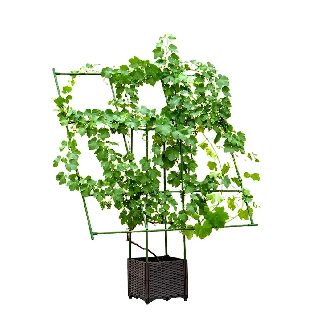 Soga 160cm Rectangular Inclined Plant Frame Tube Pergola Trellis Vegetable Flower Herbs Outdoor Vine Support Garden Rack