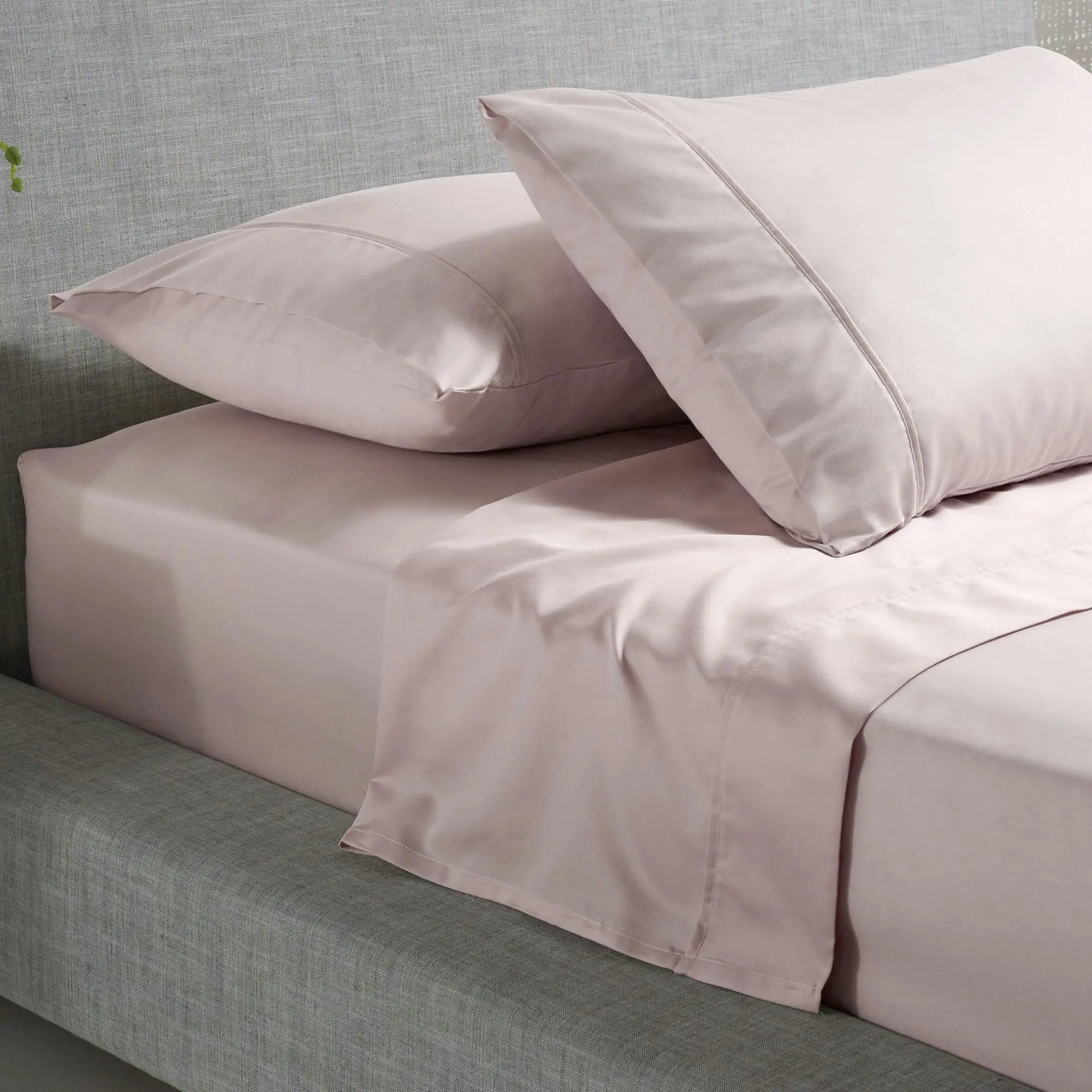 Accessorize 1000TC Cotton Rich Sheet Set - Blush