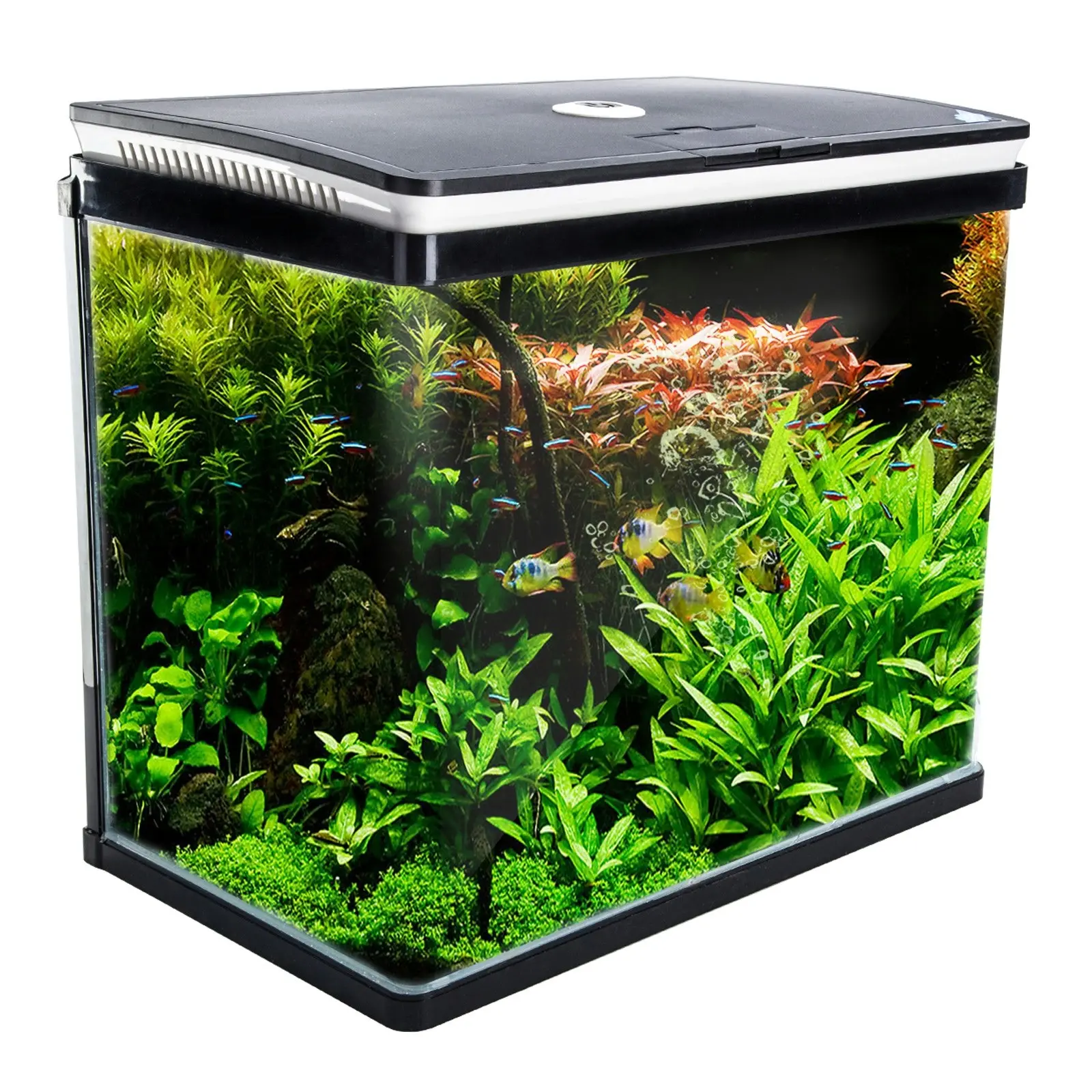 52L Curved Glass RGB LED Aquarium Fish Tank