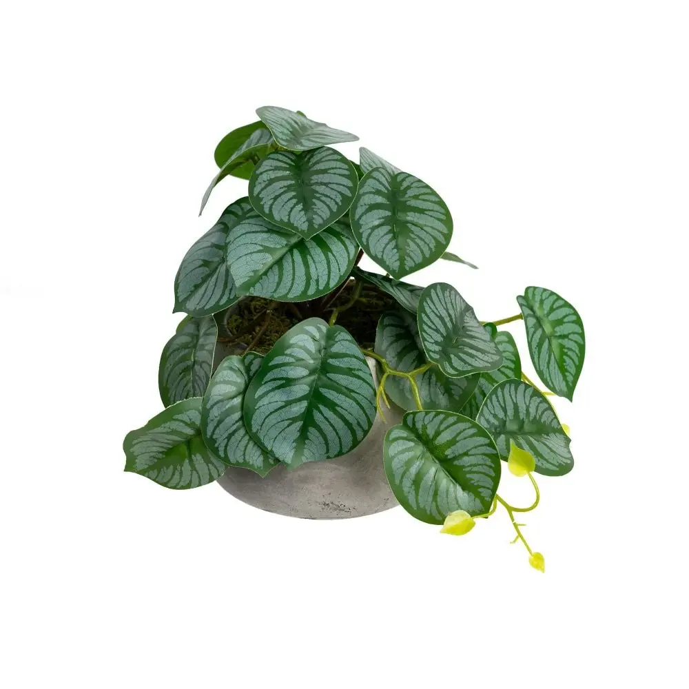 Glamorous Fusion Calathea Bush Artificial Faux Plant Decorative 17cm In Pot