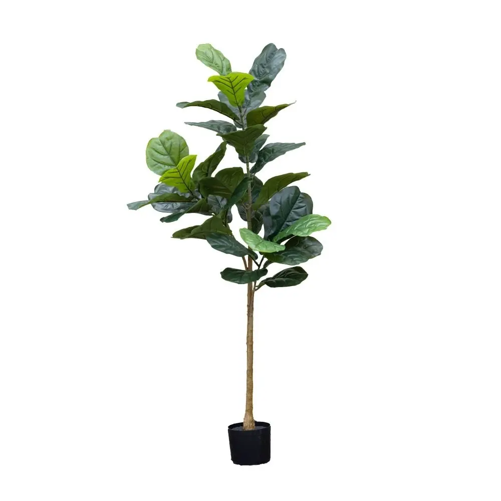 Glamorous Fusion Fiddle Tree Artificial Faux Plant Decorative 152cm