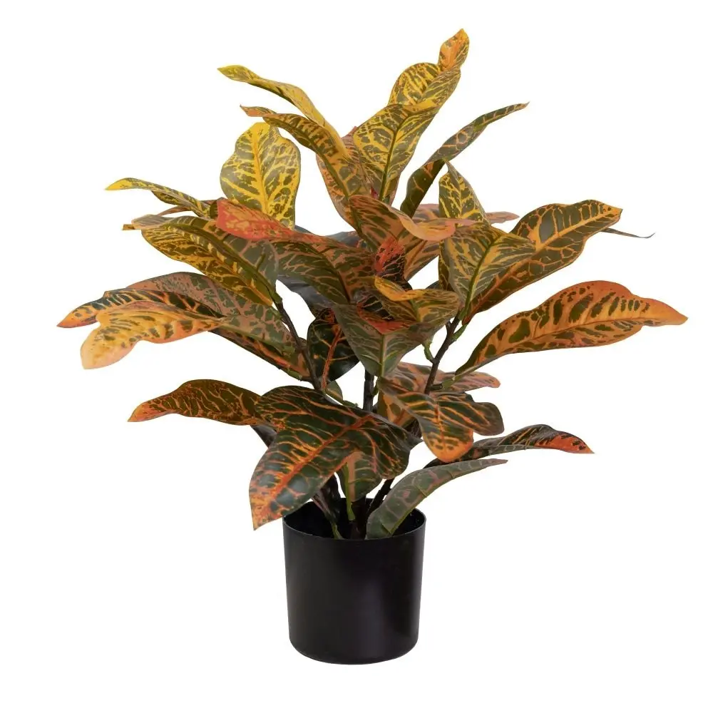 Glamorous Fusion Croton Plant Artificial Faux Plant Decorative 50cm