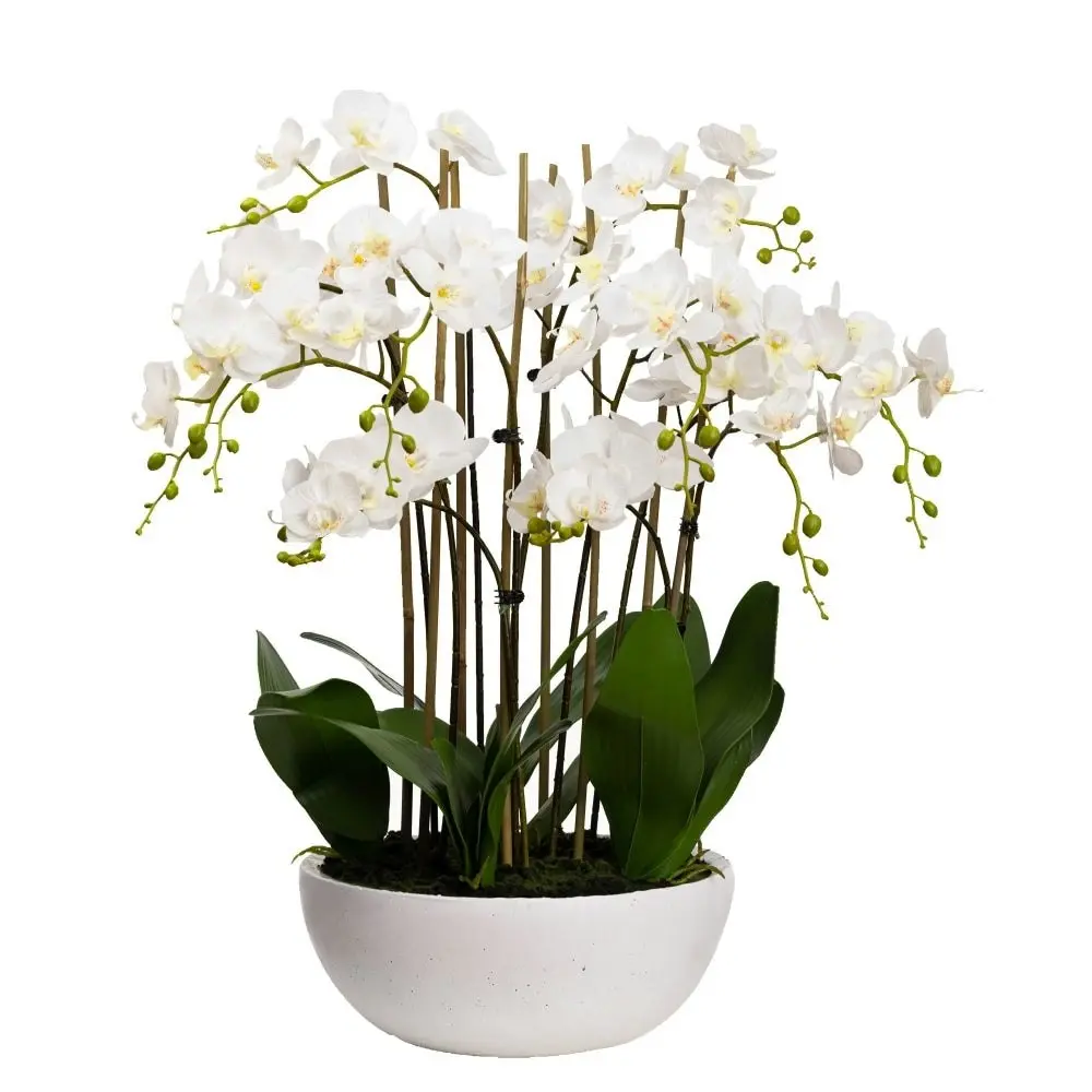 Glamorous Fusion Phalaenopsis Orchid Artificial Plant Flower Decorative Large 75cm Ceramic Pot - White