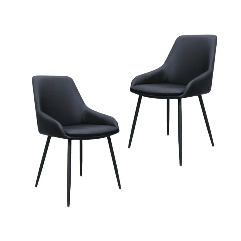 Raimon Furniture Set Of 2 Rica Modern Eco Leather Fabric Kitchen Dining Chair - Black