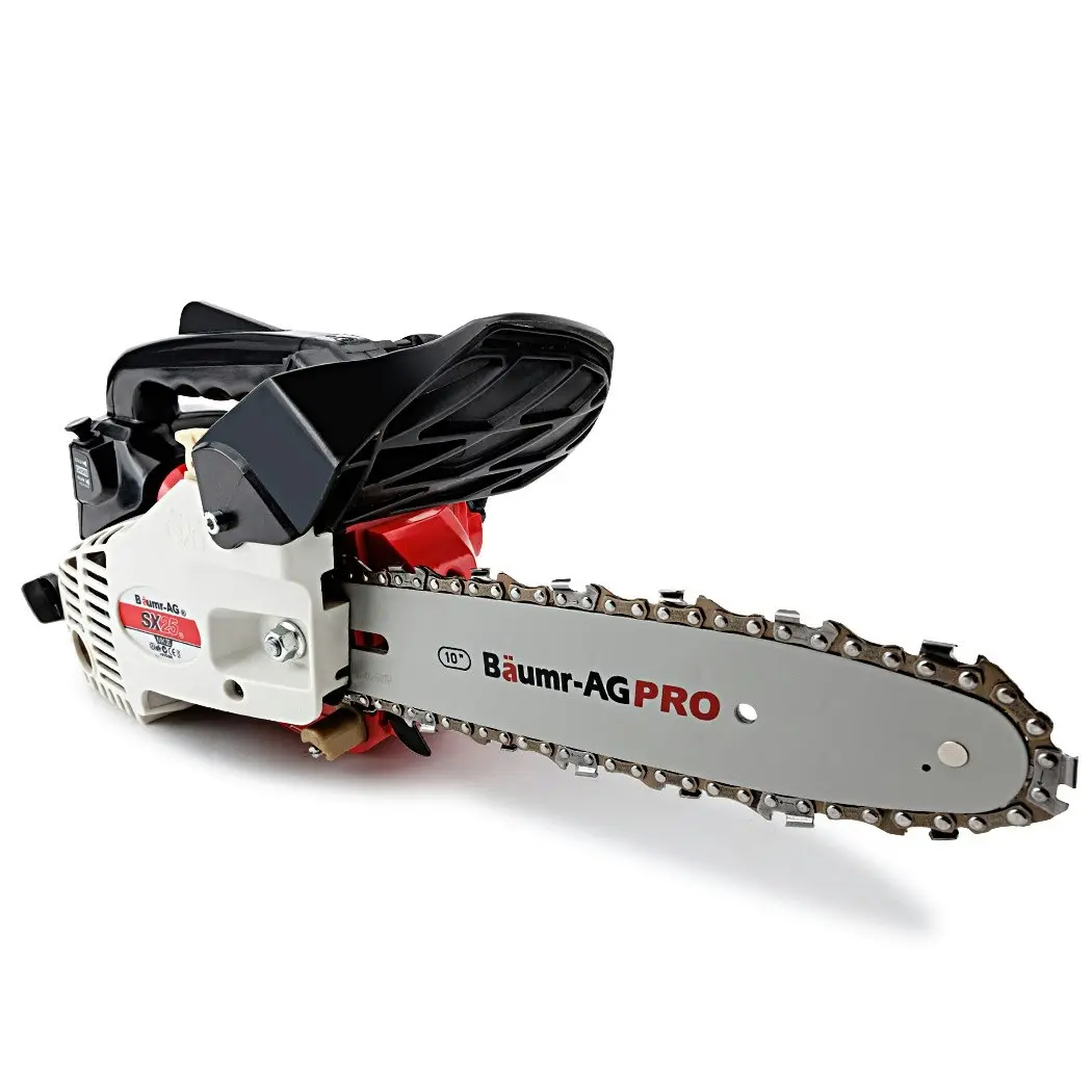 Baumr-AG 25CC Petrol Chainsaw Arborist 10 Inch Bar E-Start Tree Pruning Garden Chain Saw