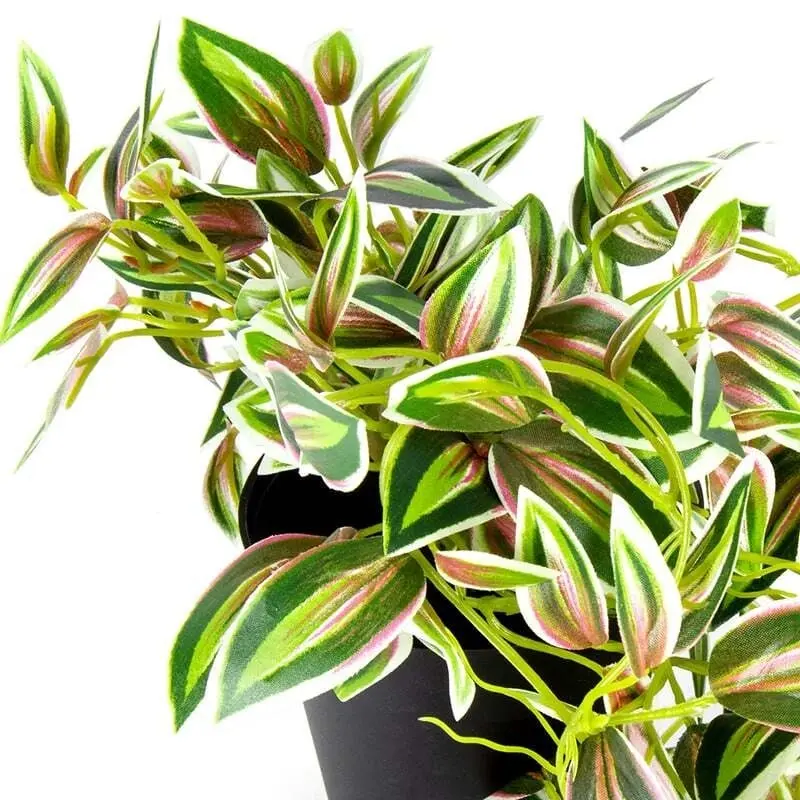 Willow & Silk 72x20cm Potted Artificial Verigated Green Weeper Plant