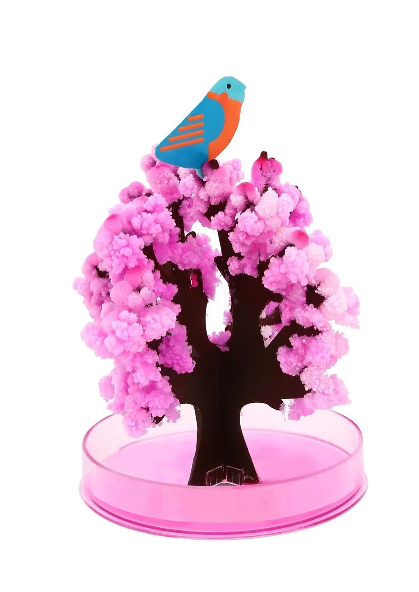 Tookyland Magic Growing Sakura Cherry Blossom Tree Art/Craft Activity Toy 3y+