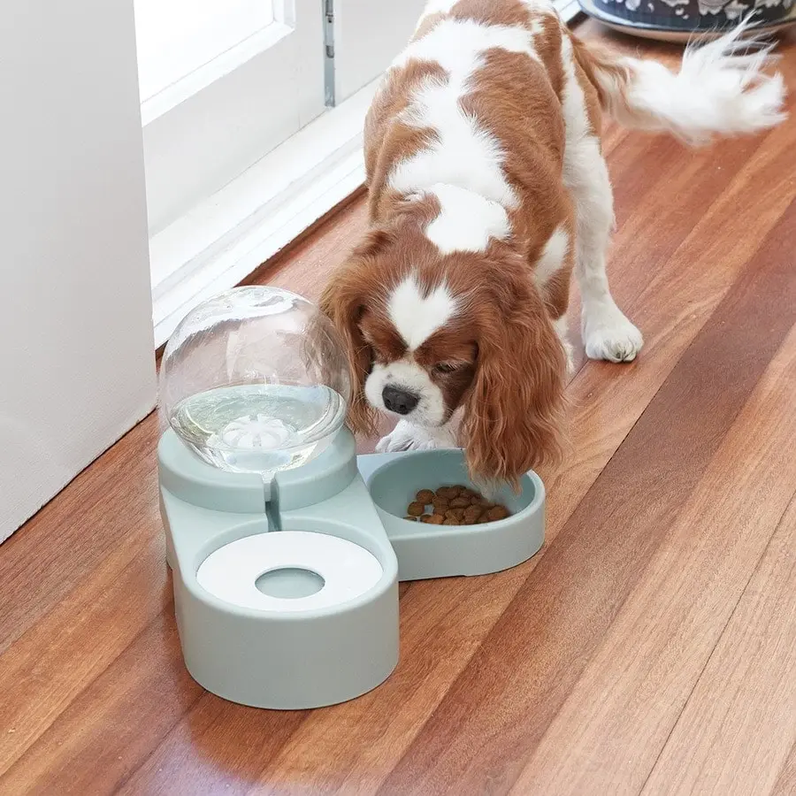 2-in-1 Pet Bowl