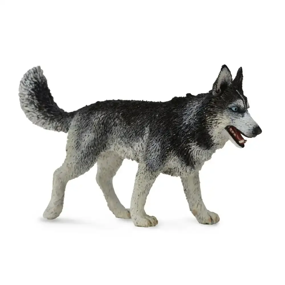 Collecta - Siberian Husky Large Animal Figurine