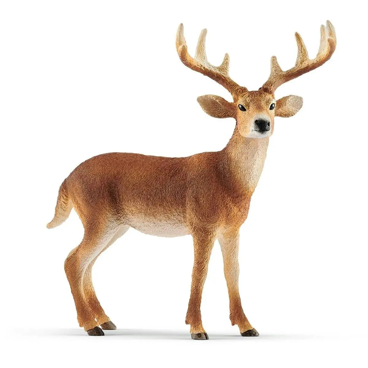 Schleich - White Tailed Buck Animal Figurine