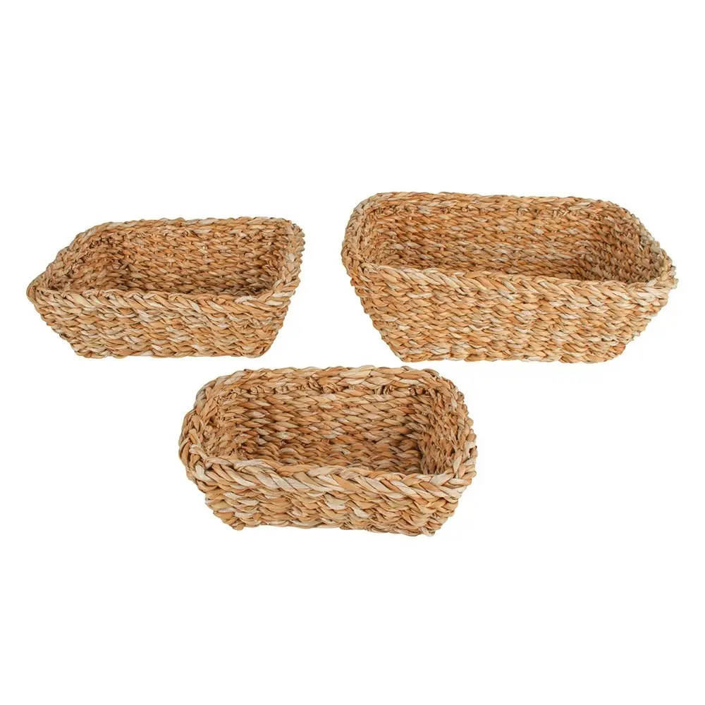 3pc Maine & Crawford Coolangatta 28cm Seagrass Rectangle Basket Storage Natural