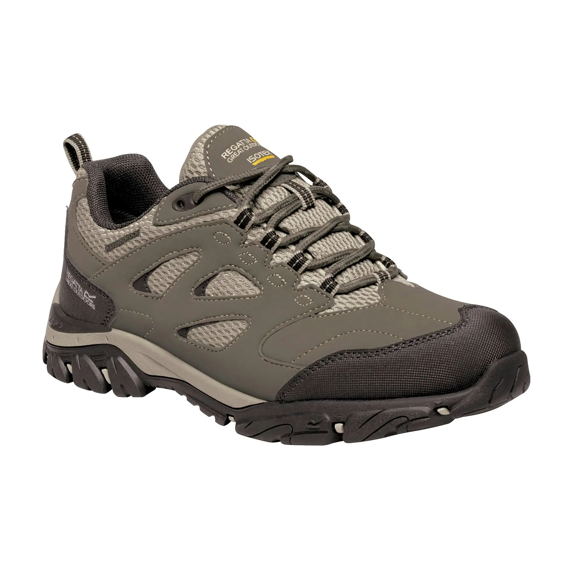 Regatta Womens/Ladies Holcombe IEP Low Hiking Boots