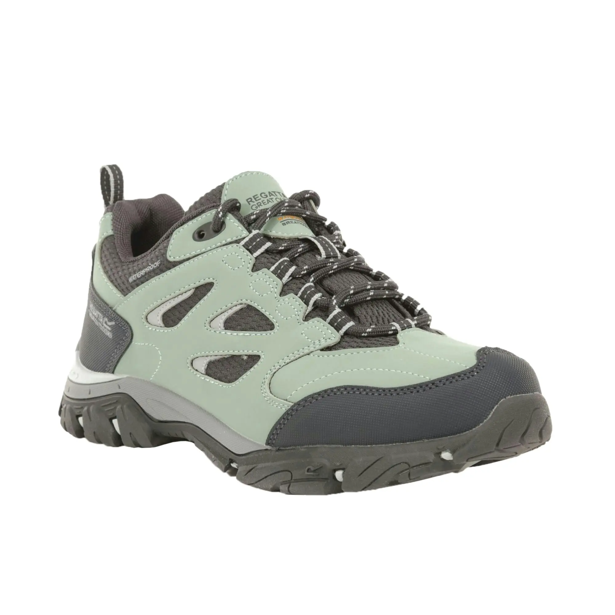 Regatta Womens/Ladies Holcombe IEP Low Hiking Boots