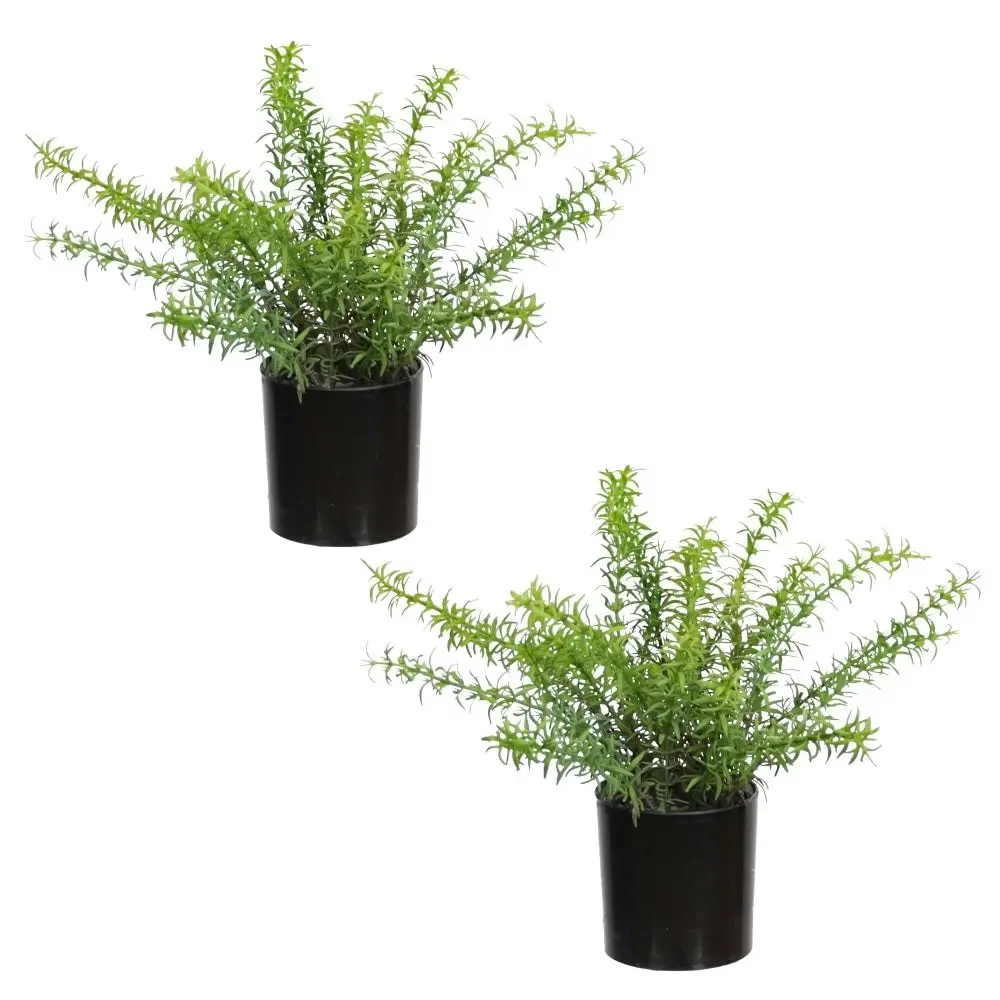 Glamorous Fusion Set Of 2 Rosemary Artificial Faux Plant Decorative In Green