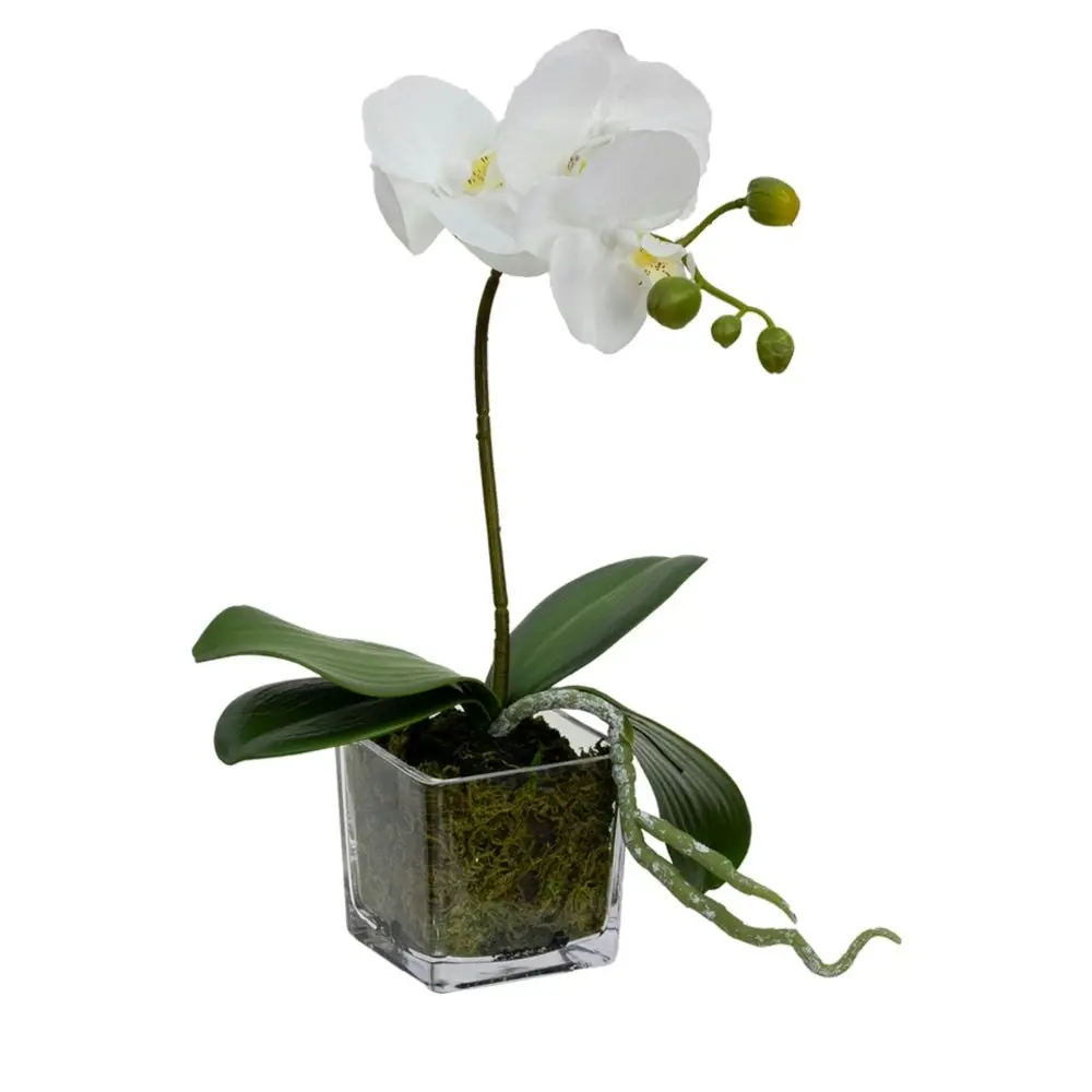 Glamorous Fusion Orchid 32cm White Artificial Faux Plant Decorative Arrangement In Square Glass