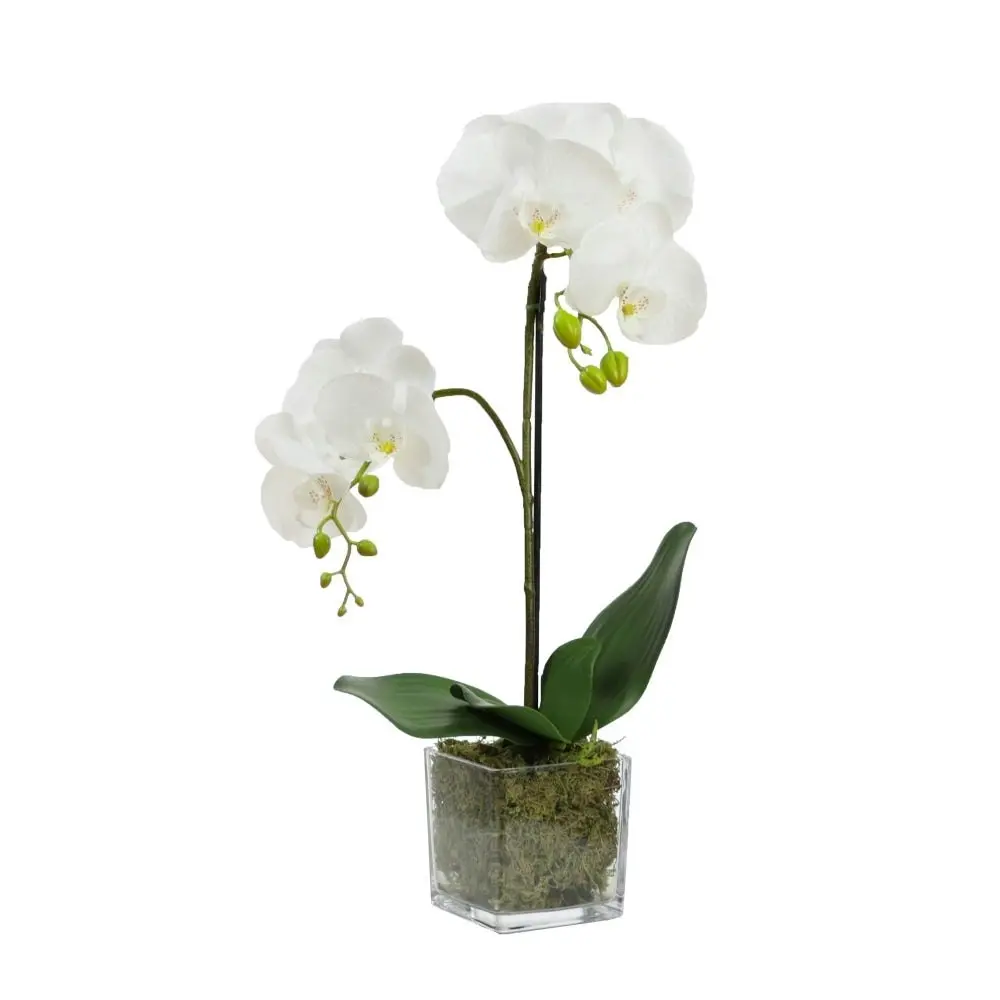 Glamorous Fusion Orchid 56cm Artificial Faux Plant Decorative Arrangement In Square Glass