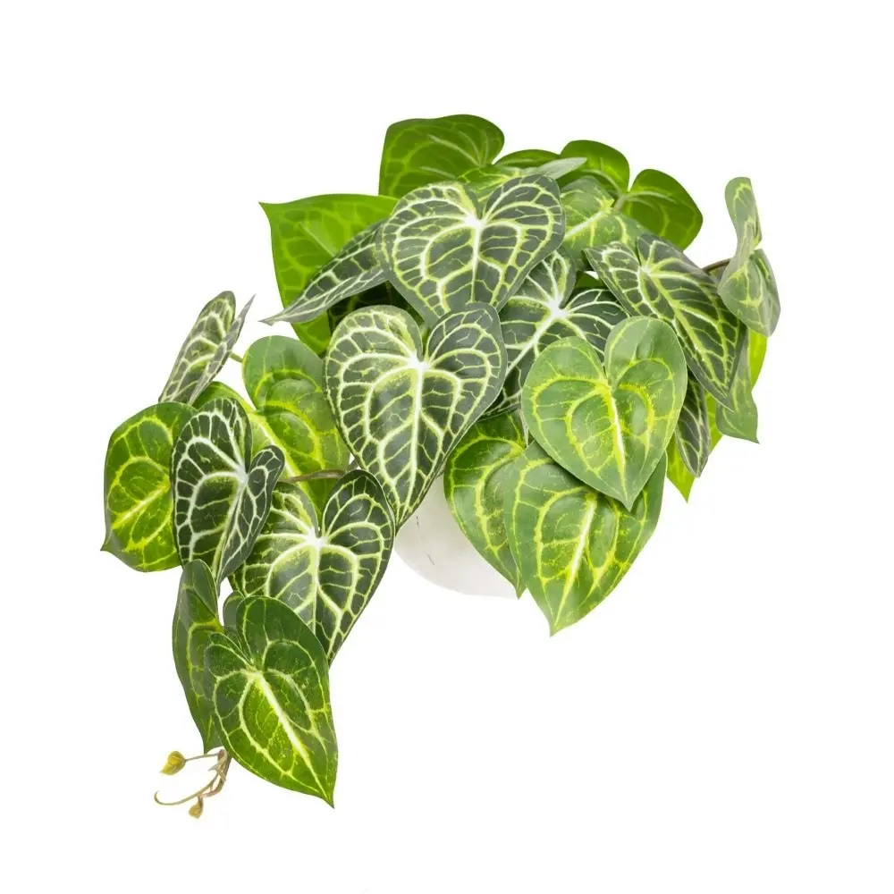 Glamorous Fusion Green Caladium Bush 46cm Artificial Faux Plant Decorative In Pot