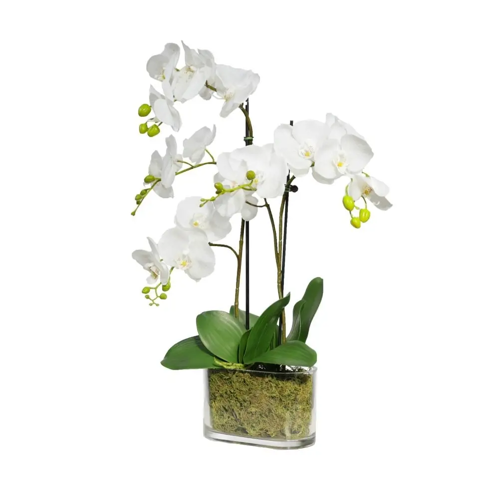 Glamorous Fusion Orchid 60cm Artificial Faux Plant Decorative Arrangement In Flat Glass White