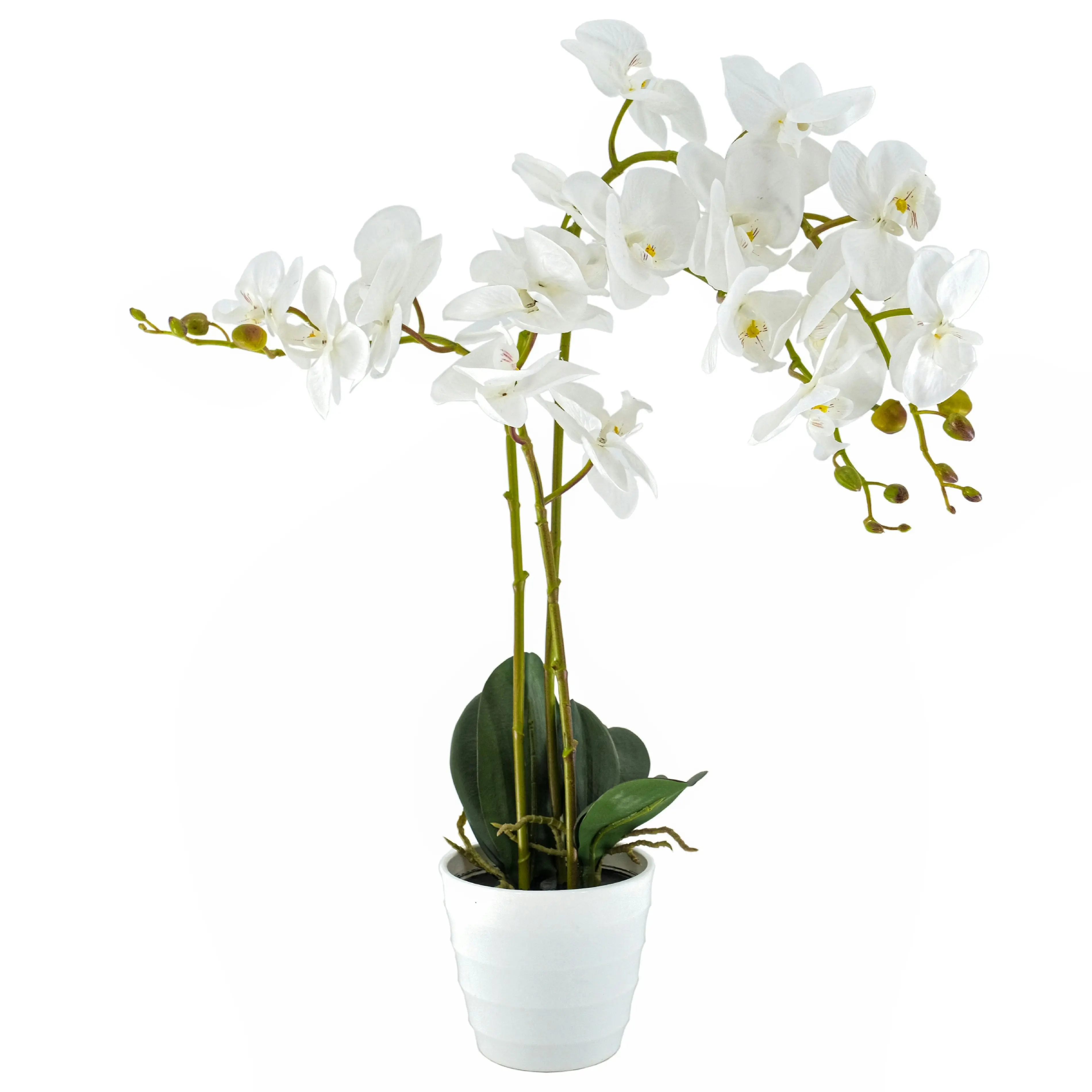 Artificial White Orchid Flowers Plant in white pot 65cm