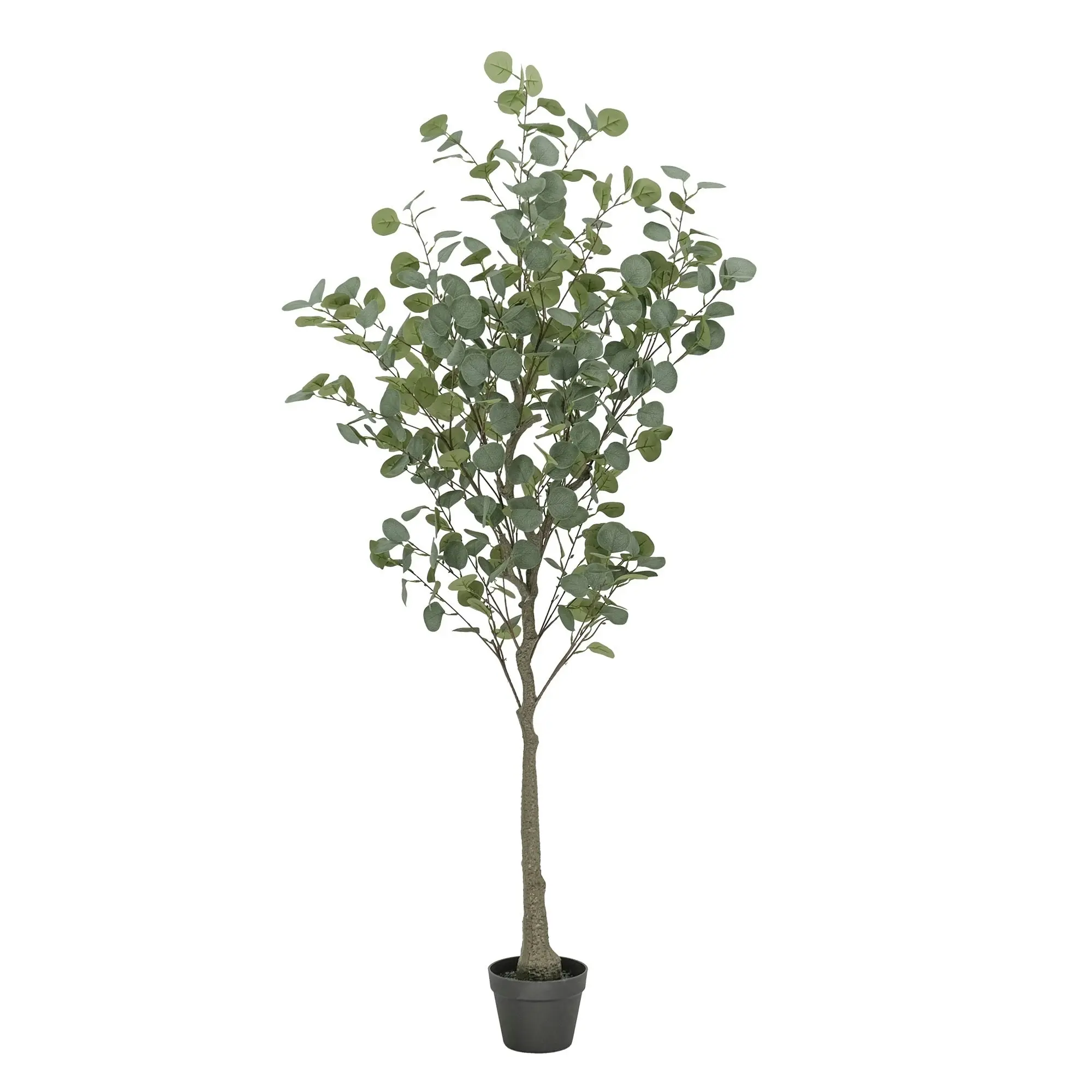 Artificial Silver Dollar Gum Eucalyptus Tree 170cm