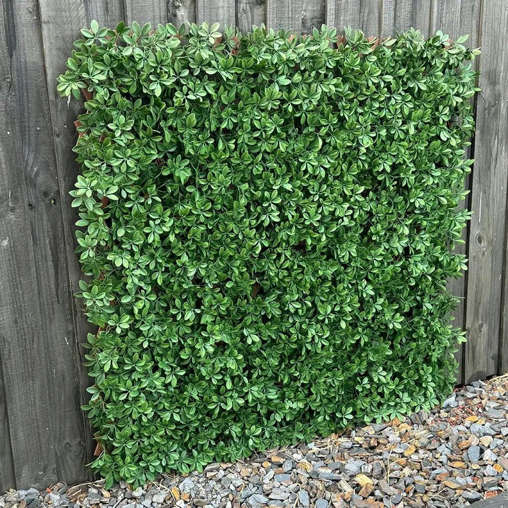 Expanding Trellis Screening - UV Protected Dark Green Barberry