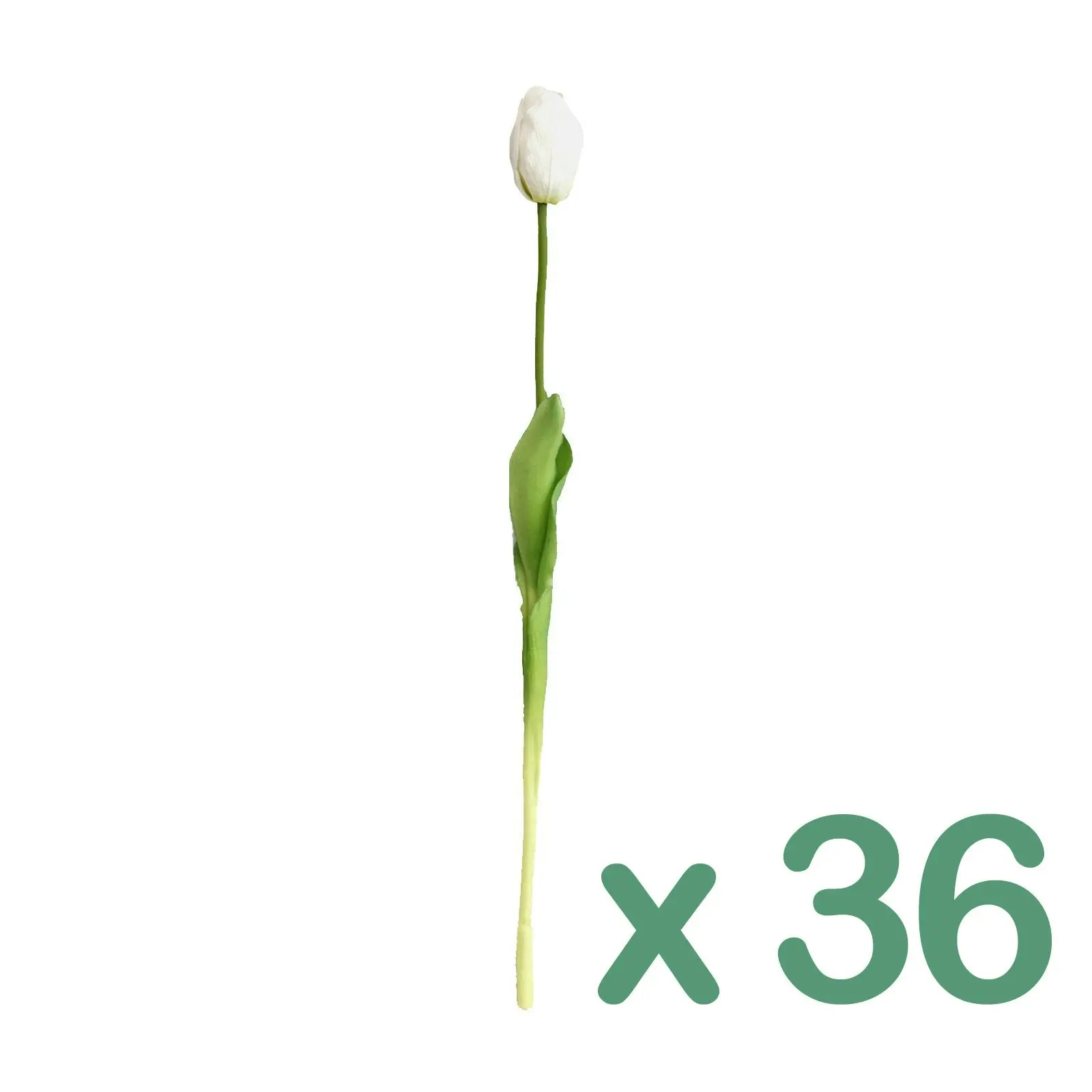 36 Stems of Artificial Tulip Flowers in WHITE 50cm