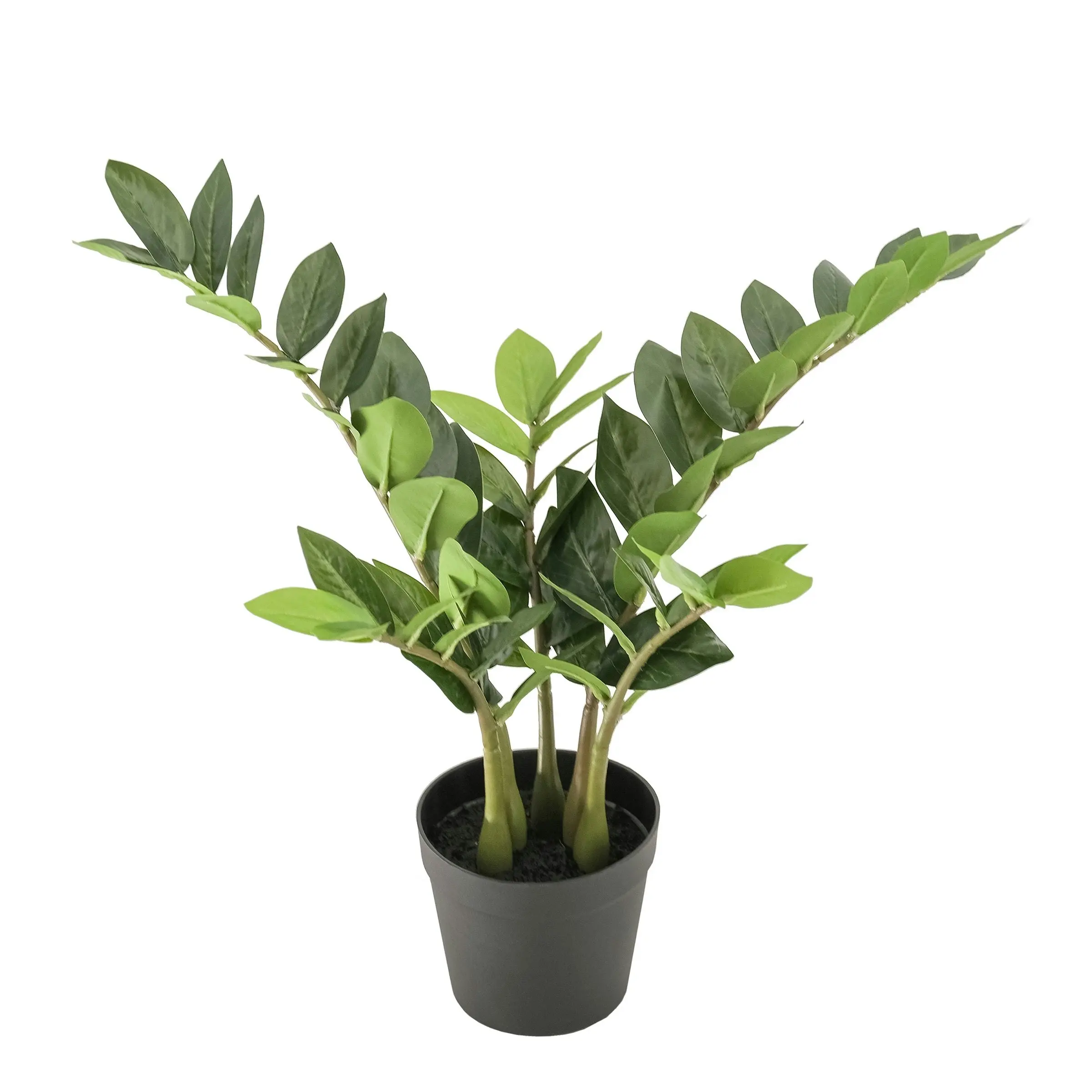 Artificial ZZ (Zanzibar) Plant 55cm