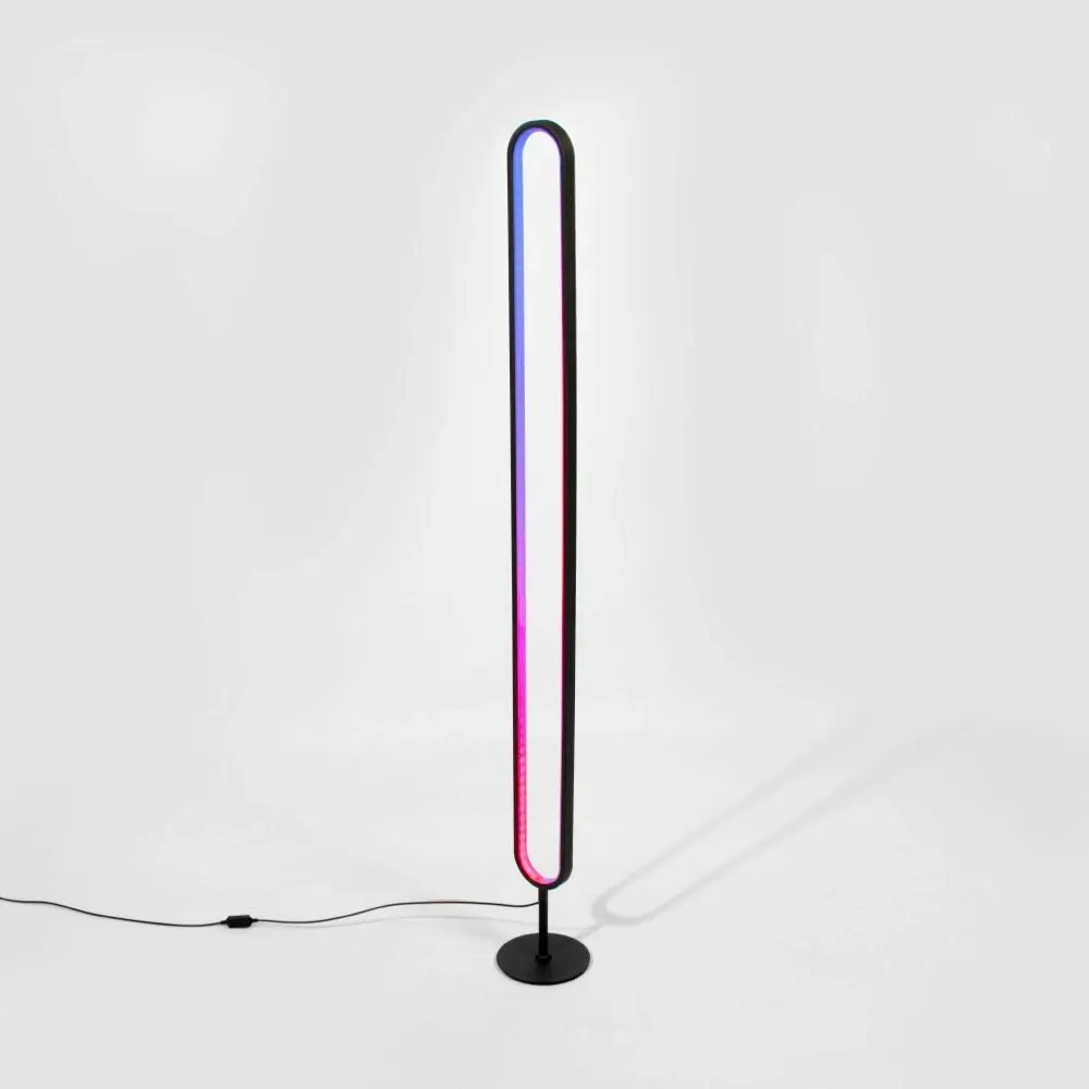 Mood Lighting Floor Lamp