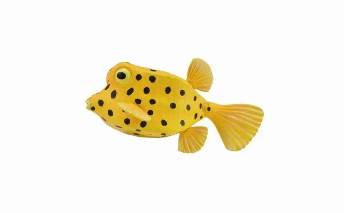 Collecta - Boxfish Small Animal Figurine