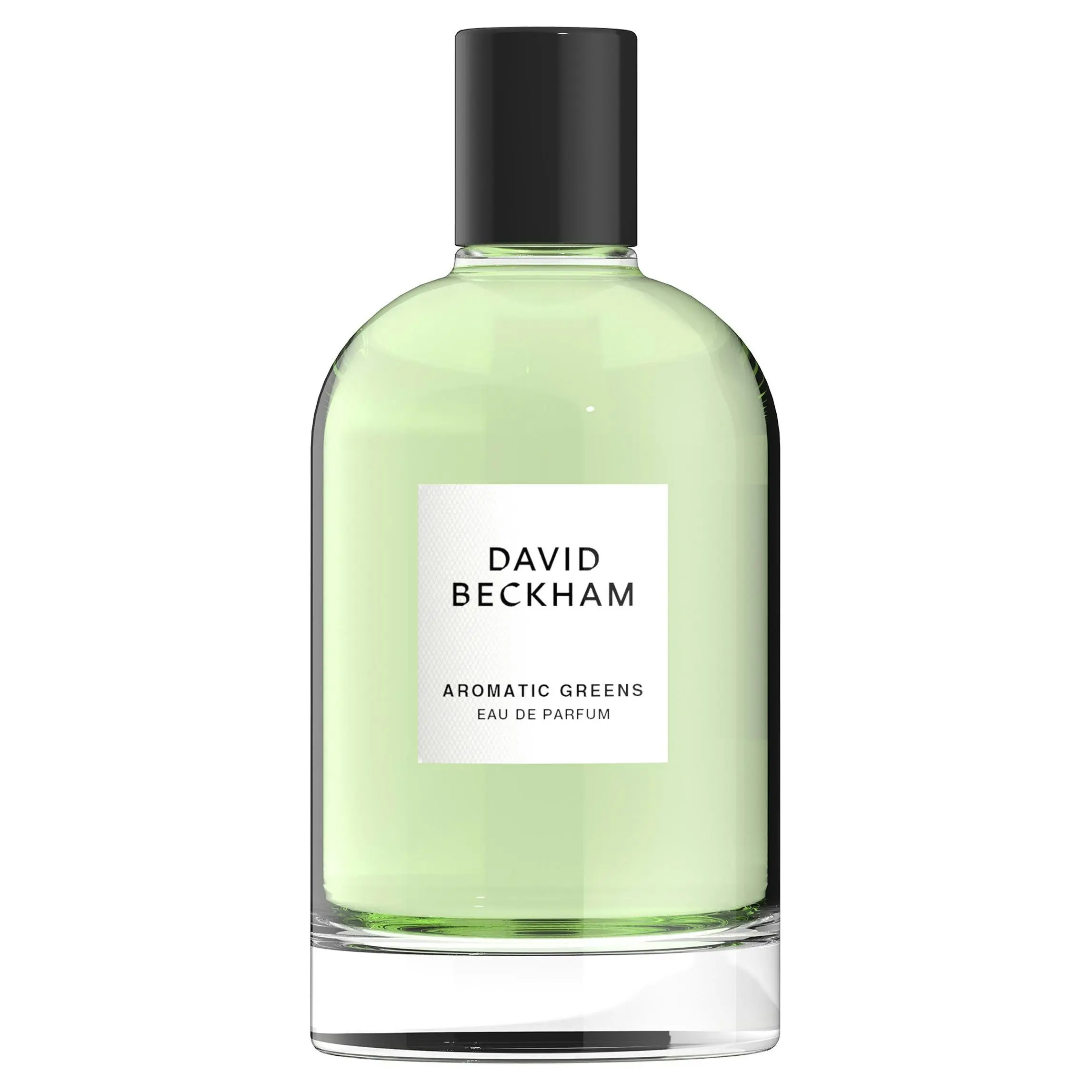 David Beckham Aromatic Greens Eau De Parfum 100ml