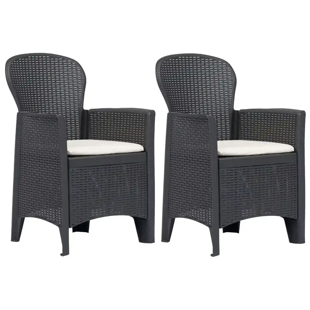 Garden Chair 2 pcs with Cushion Brown Plastic Rattan Look 45600