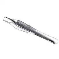 Adson Tissue Forceps 125mm 1 x 2 Teeth