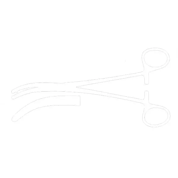 Heaney Clamp Forcep, 21cm, Each