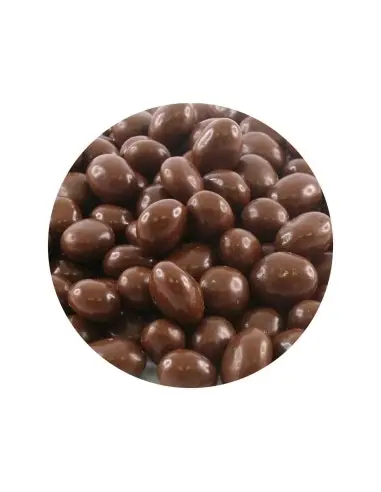 Fyna Choc Sultanas 6.5kg x 1