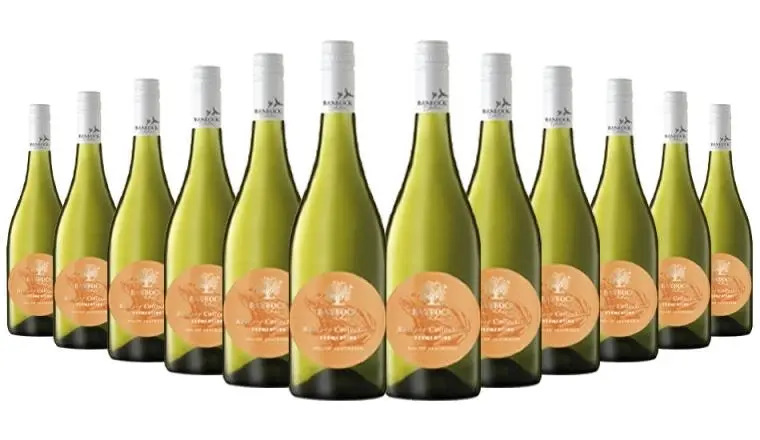 Banrock Station Reserve Riverland Vermentino 2021 - 12 Bottles