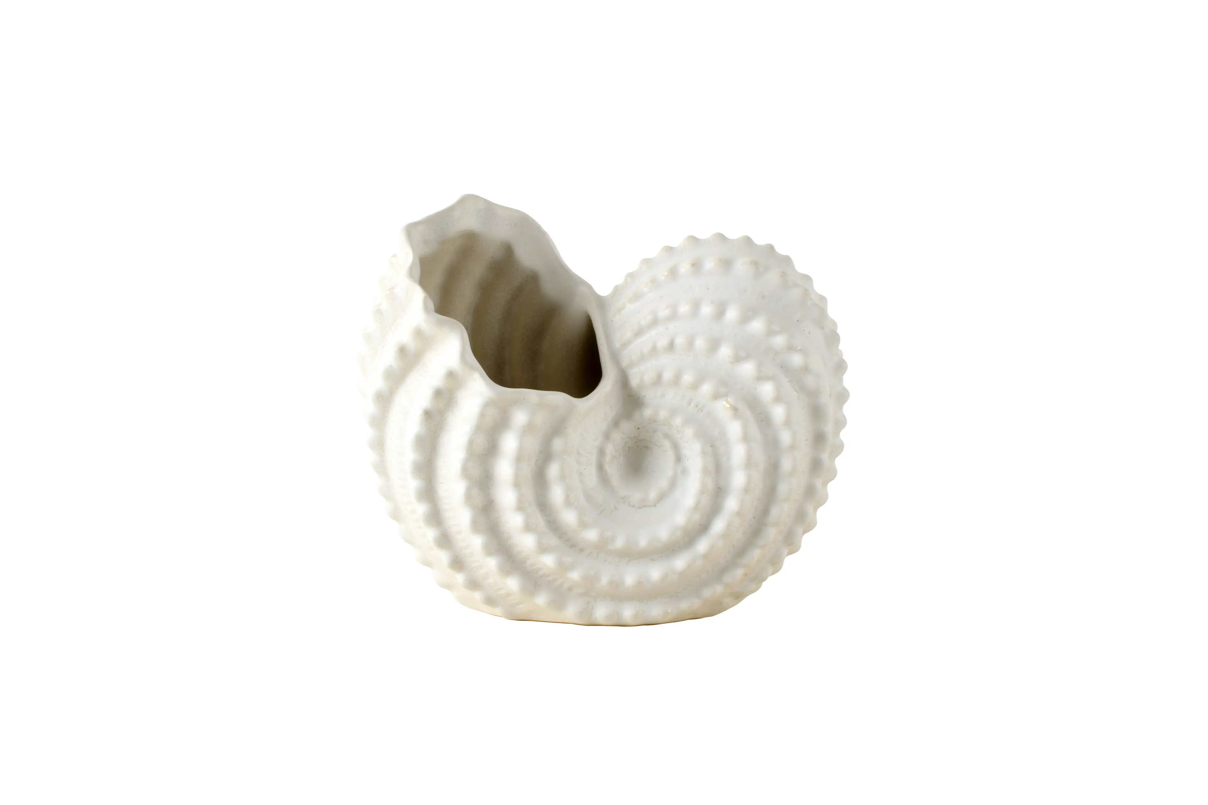 Danea Shell Decor Planter 15 x 12.5 x 8cm