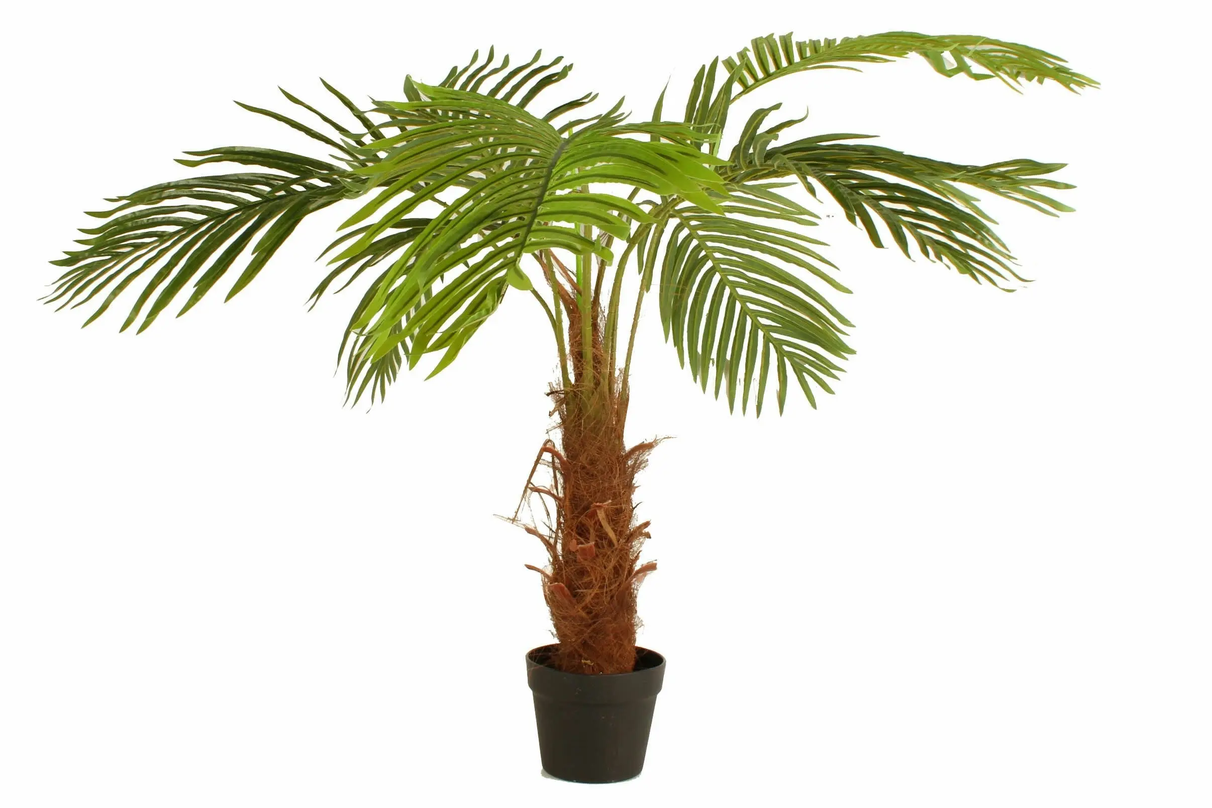 Palm Tree In Plastic Pot 120cm