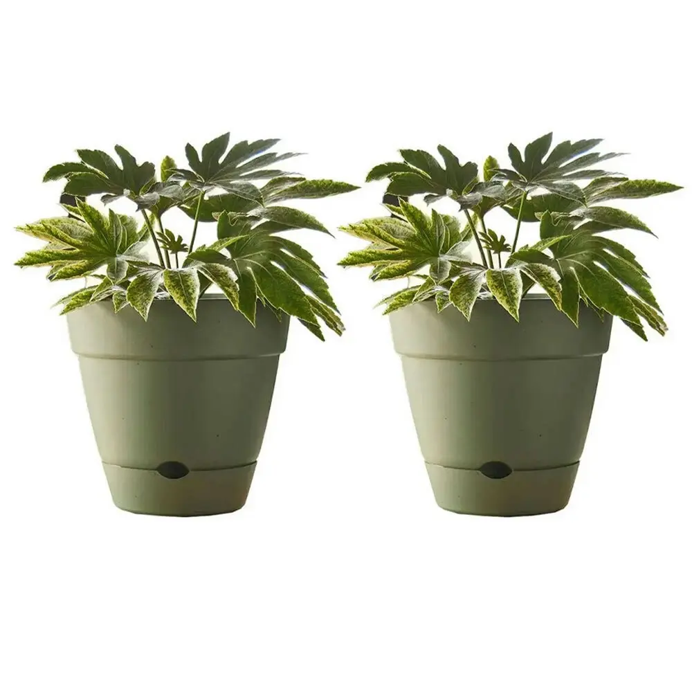 2x Northcote Pottery Leonard 25x23cm Self Watering Plant Pot Garden Decor Green