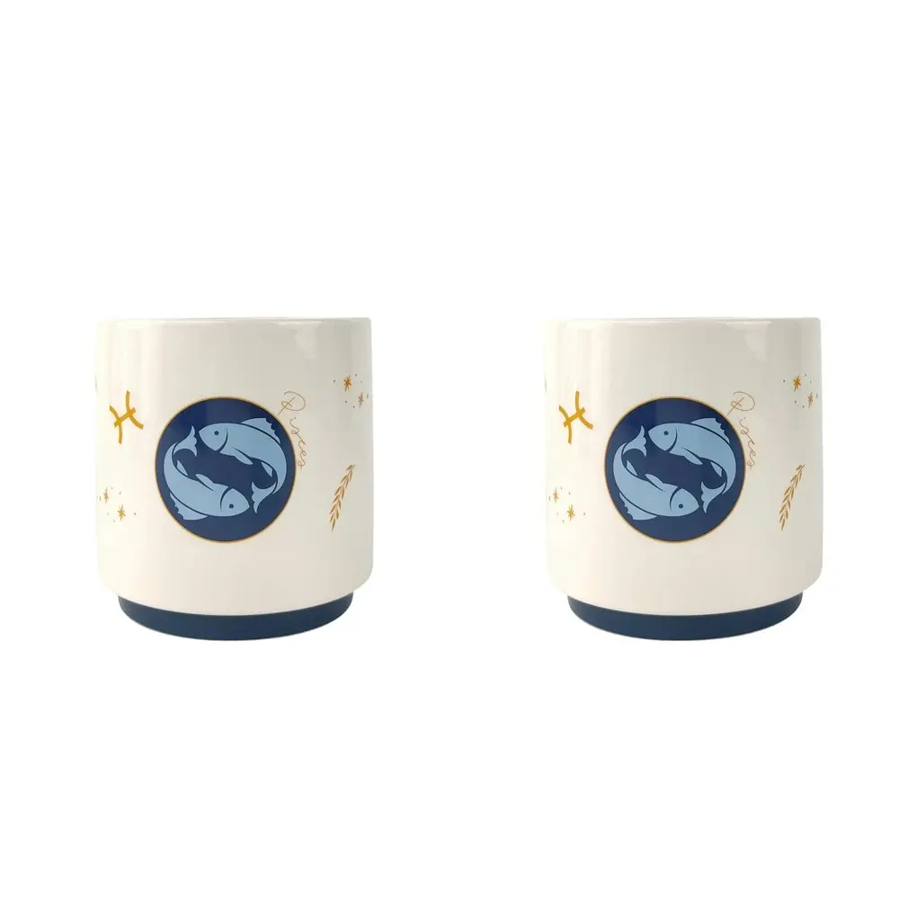 2x Urban Pisces Zodiac 13cm Ceramic Planter Flower/Plant Pot Home Decor Sml Blue