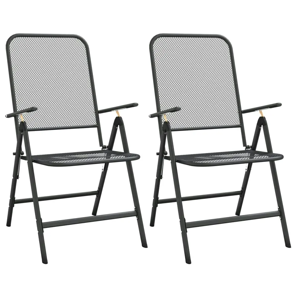 Folding Garden Chairs 2 pcs Expanded Metal Mesh Anthracite 317340