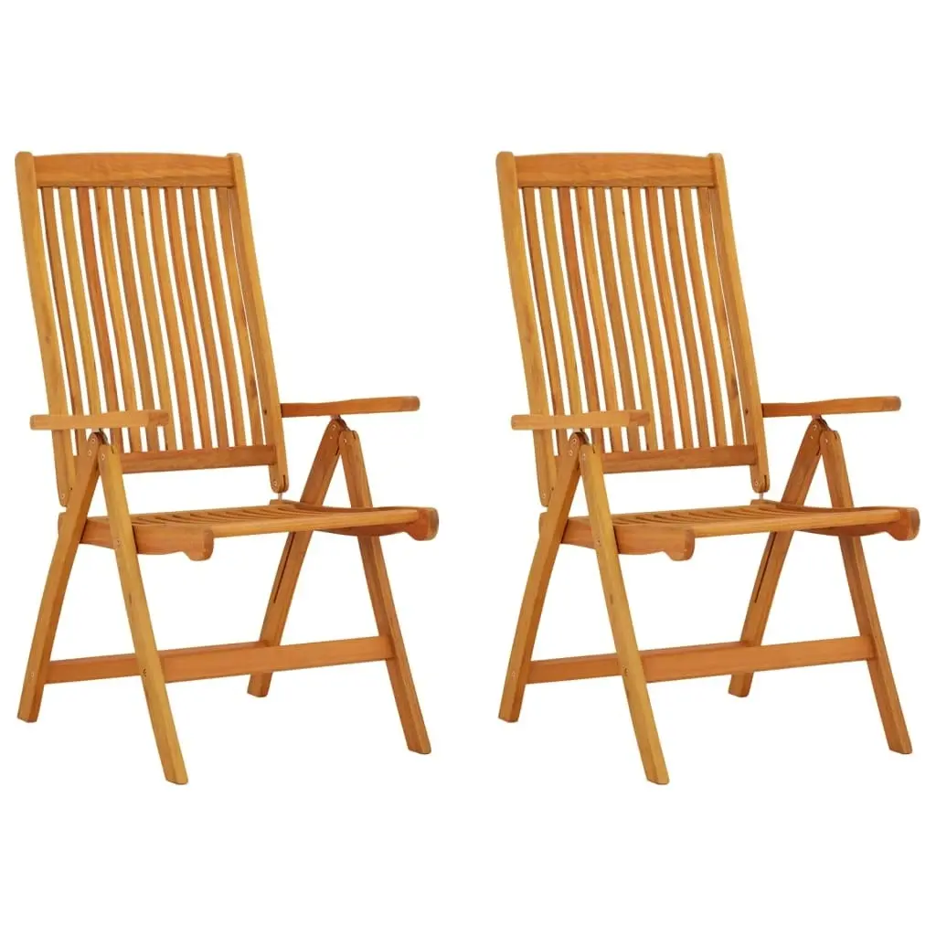 Folding Garden Chairs 2 pcs Solid Wood Eucalyptus 316069