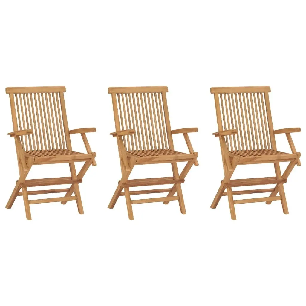 Folding Garden Chairs 3 pcs Solid Wood Teak 315444