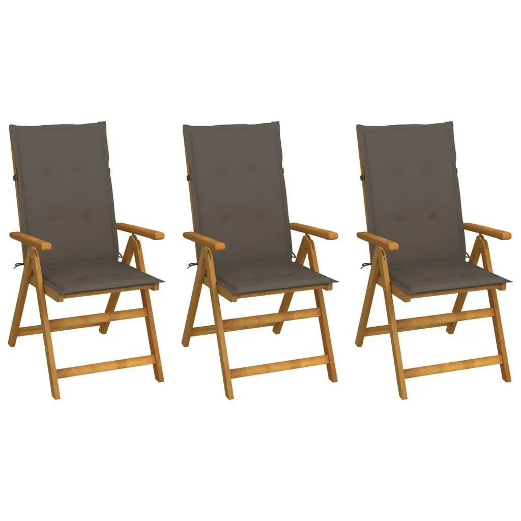 Folding Garden Chairs 3 pcs with Cushions Solid Acacia Wood 3064097