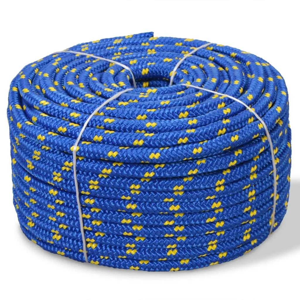 Marine Rope Polypropylene 10 mm 50 m Blue 91296