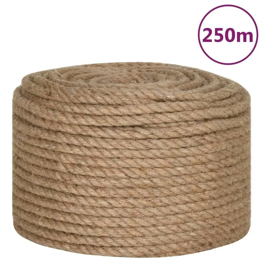 Rope 100% Jute 10 mm 250 m 143795