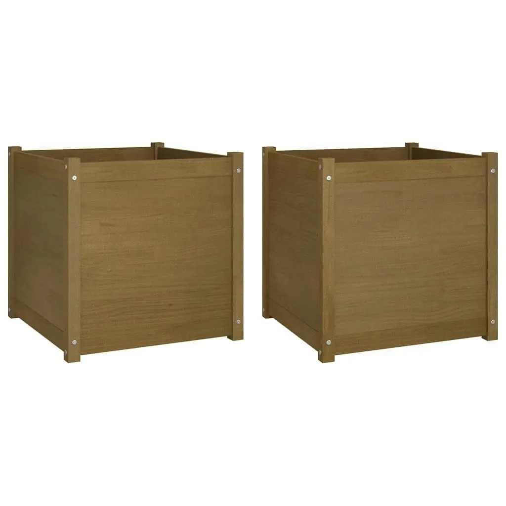 Garden Planters 2 pcs Honey Brown 60x60x60 cm Solid Pinewood 810565